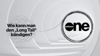 Software Sourcing: Wie kann man den „Long Tail“ bändigen?