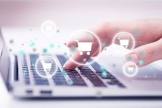 Curriculum IT-Einkauf