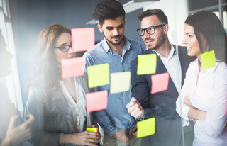 Curriculum Projektmanagement