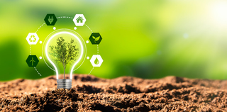 Sustainability-Ziele erreichen durch Aufbau eines nachhaltigen Lieferantennetzwerks