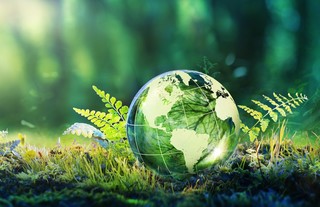 Umfrage: LkSG setzt wichtige Impulse für Nachhaltigkeit